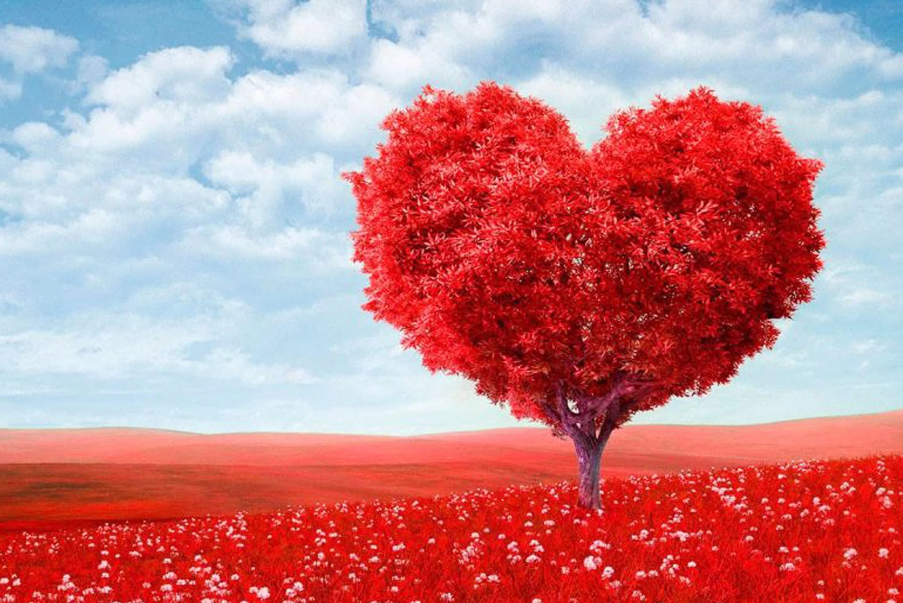 نصائح وإرشادات أسرية لبيت سعيد