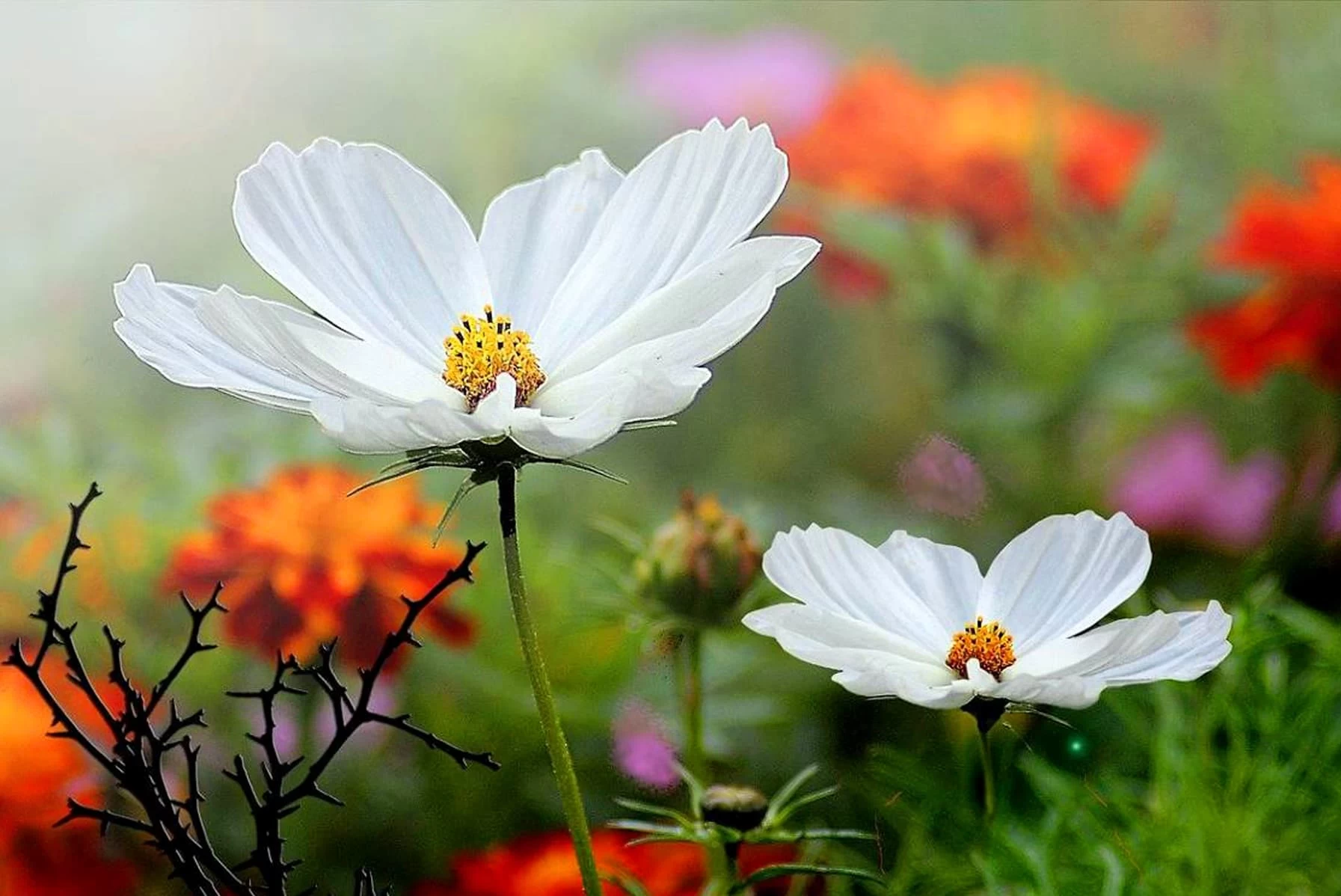 اهتمامك بمظهرك يسعد زوجتك